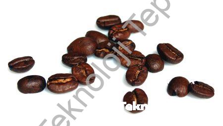 Beyninizin Sırlarını Aydınlığa Kavuran Bilişsel Nörobilim