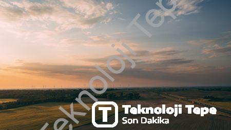 Doğal Seçenek: Yapay Deri Teknolojisiyle Çevreyi Koruyun