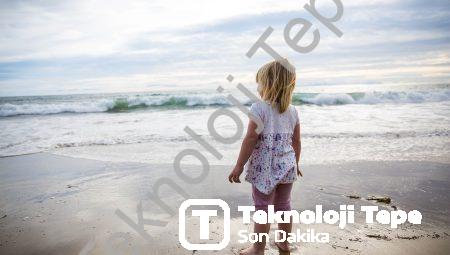 Fibonacci ile Dünyayı Yeniden Keşfetmek: Biyonik Organlar