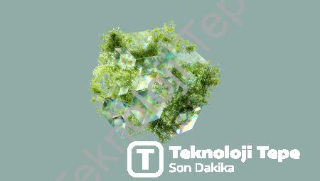 Velâyet Davalarında Samsun’da Profesyonel Bir Avukata Danışın