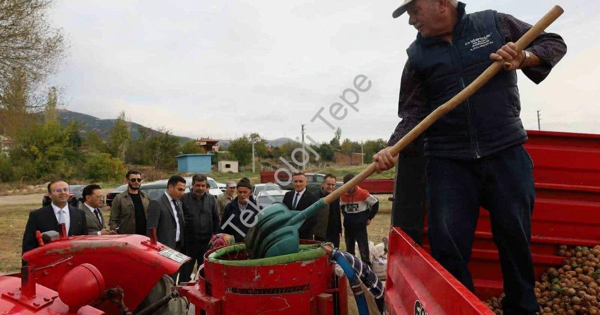 AFYONKARAHİSAR'IN DİNAR İLÇESİNDE CEVİZ HASADI BAŞLARKEN, REKOLTENİN BU YIL ÇİFTÇİLERİ MEMNUN ETTİĞİ BELİRTİLDİ.