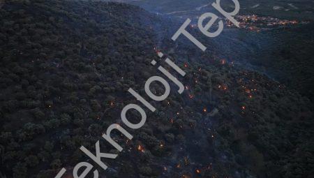 Aydın Bozdoğan’daki Orman Yangını Büyük Ölçüde Kontrol Altında