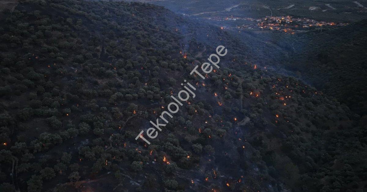 "Aydın Bozdoğan'daki Orman Yangını Büyük Ölçüde Kontrol Altında" başlıklı haber için fotorealistik,