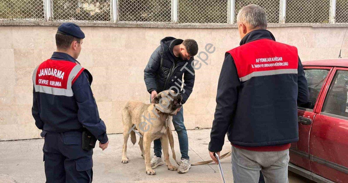 "Afyonkarahisar'da Vahşete Dronlu Takip: Köpek Dövüşüne Jandarma Baskını" başlıklı haber için fotore
