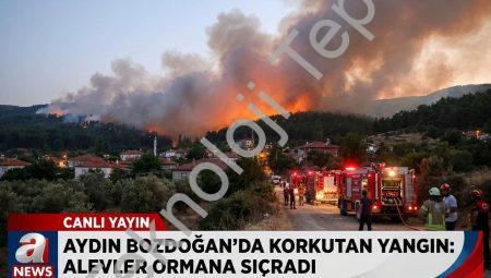 Aydın Bozdoğan’da Korkutan Yangın: Alevler Ormana Sıçradı