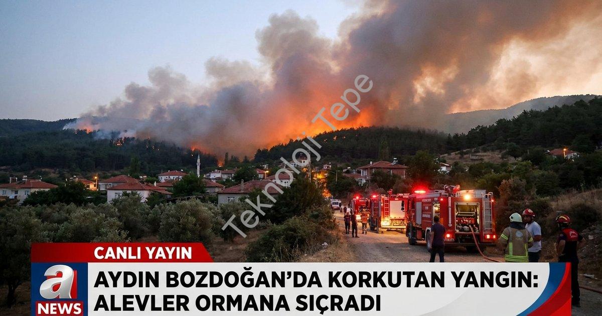 "Aydın Bozdoğan'da Korkutan Yangın: Alevler Ormana Sıçradı" başlıklı haber için fotorealistik, profe