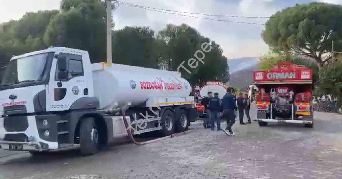 "Aydın Bozdoğan'da Korkutan Yangın: Alevler Ormana Sıçradı" başlıklı haber için fotorealistik, profe