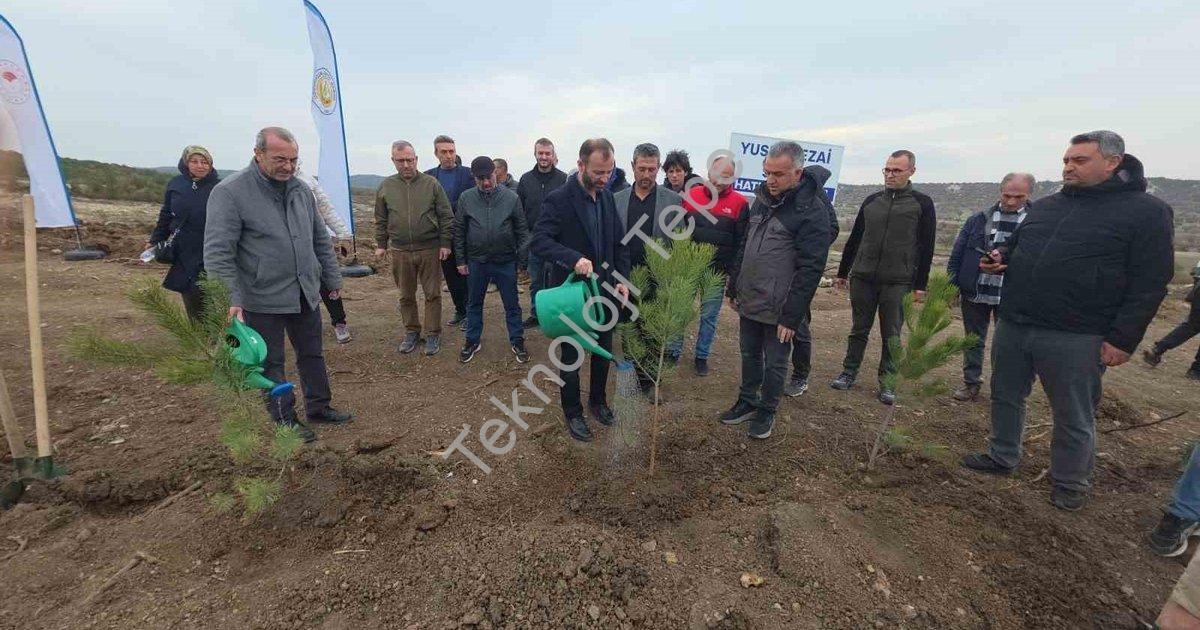 "Kütahya'da Anlamlı Proje: Vefa Ormanı Hayat Buldu" başlıklı haber için fotorealistik, profesyonel b