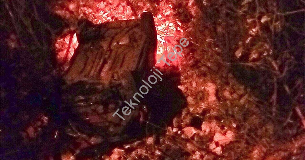 "Muğla Menteşe'de Korku Dolu Anlar: Araç Dereye Uçtu!" başlıklı haber için fotorealistik, profesyone