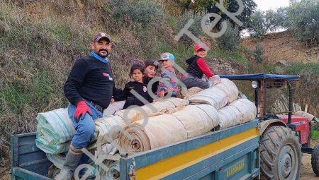 Sarıgöl’de Hasat Sonrası Yoğun Mesai: Bağlar Kışa Hazırlanıyor