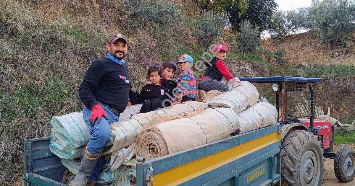 "Sarıgöl'de Hasat Sonrası Yoğun Mesai: Bağlar Kışa Hazırlanıyor" başlıklı haber için fotorealistik,