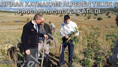 Dumlupınar Kaymakamı Alperen Teltik Şeker Pancarı Hasadına Katıldı