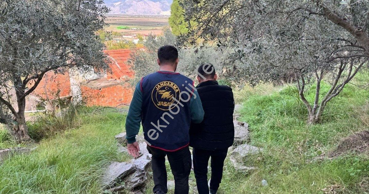 "Aydın Söke'de Nefes Kesen Operasyon: Firari Ormanda Yakalandı" başlıklı haber için fotorealistik, p