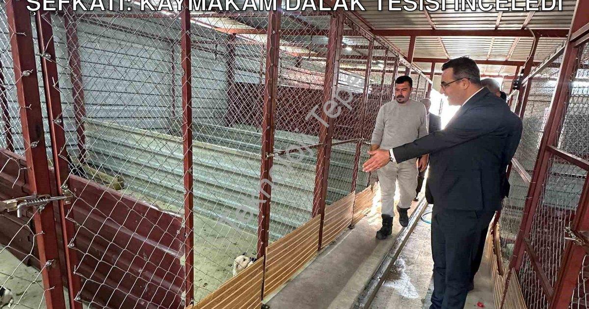 "Sarıgöl'de Sokak Canlarına Devlet Şefkati: Kaymakam Dalak Tesisi İnceledi" başlıklı haber için foto