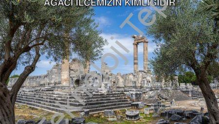 Didim Belediye Başkanı Gençay: Zeytin Ağacı İlçemizin Kimliğidir