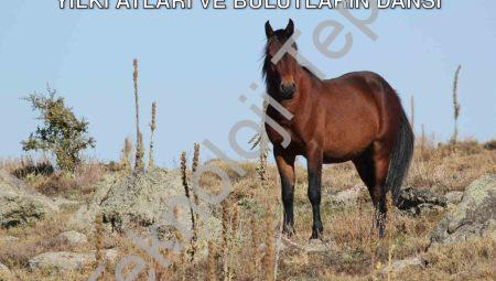 Afyonkarahisar’da Büyüleyen Görüntü: Yılkı Atları ve Bulutların Dansı