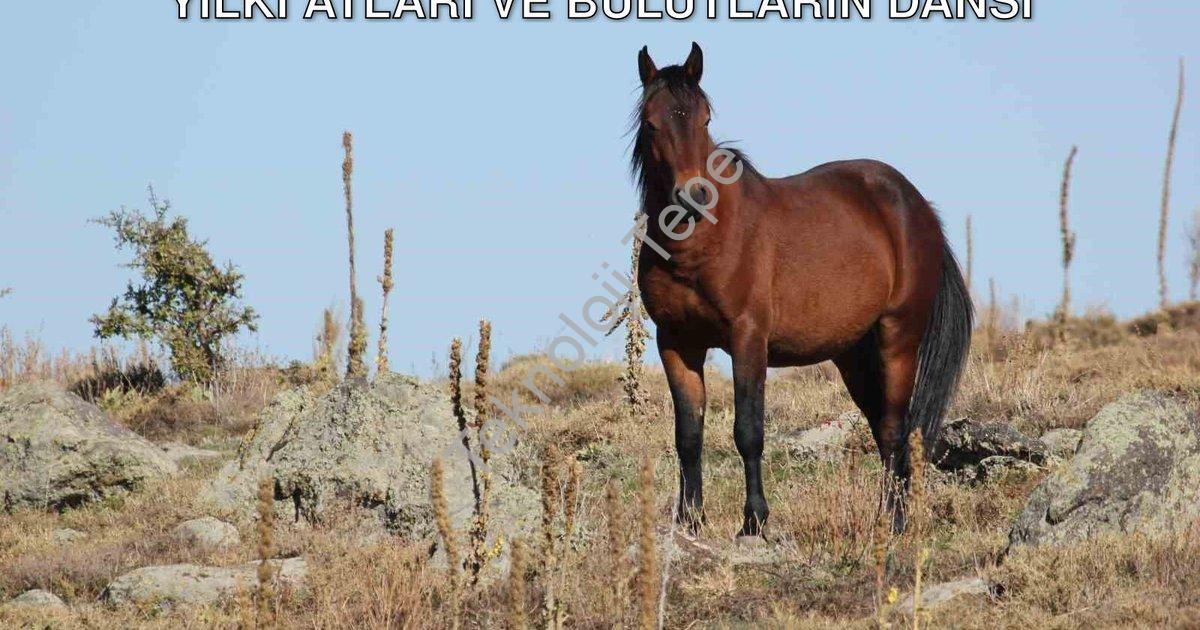 "Afyonkarahisar'da Büyüleyen Görüntü: Yılkı Atları ve Bulutların Dansı" başlıklı haber için fotoreal