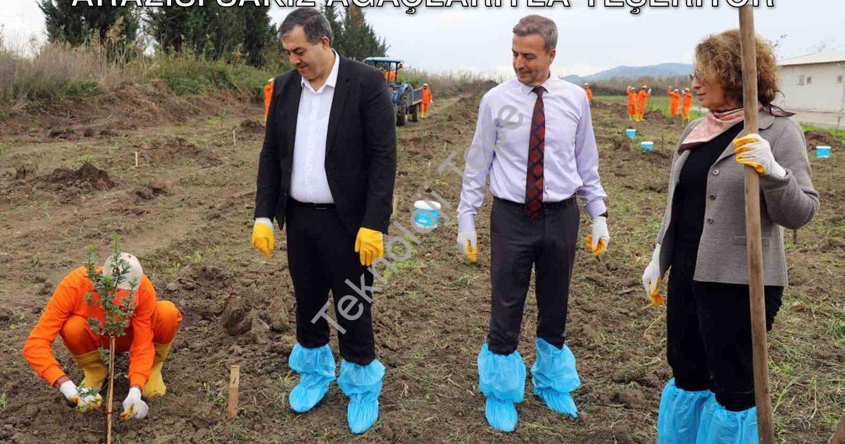 "Dalaman'da Tarımsal Kalkınma: Cezaevi Arazisi Sakız Ağaçlarıyla Yeşeriyor" başlıklı haber için foto