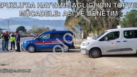 Karpuzlu’da Hayvan Sağlığı İçin Topyekün Mücadele: Aşı ve Denetim