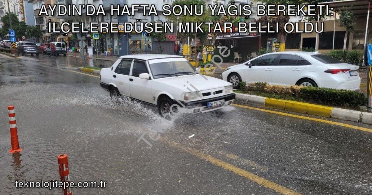 "Aydın'da Hafta Sonu Yağış Bereketi: İlçelere Düşen Miktar Belli Oldu" başlıklı haber için fotoreali