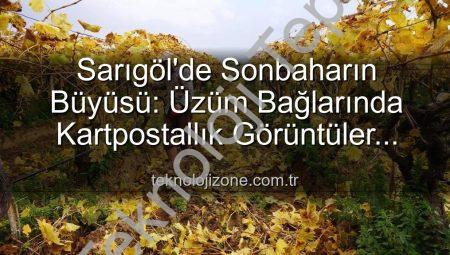 Sarıgöl’de Sonbaharın Büyüsü: Üzüm Bağlarında Kartpostallık Manzaralar Eşliğinde Budama Çalışmaları Başladı