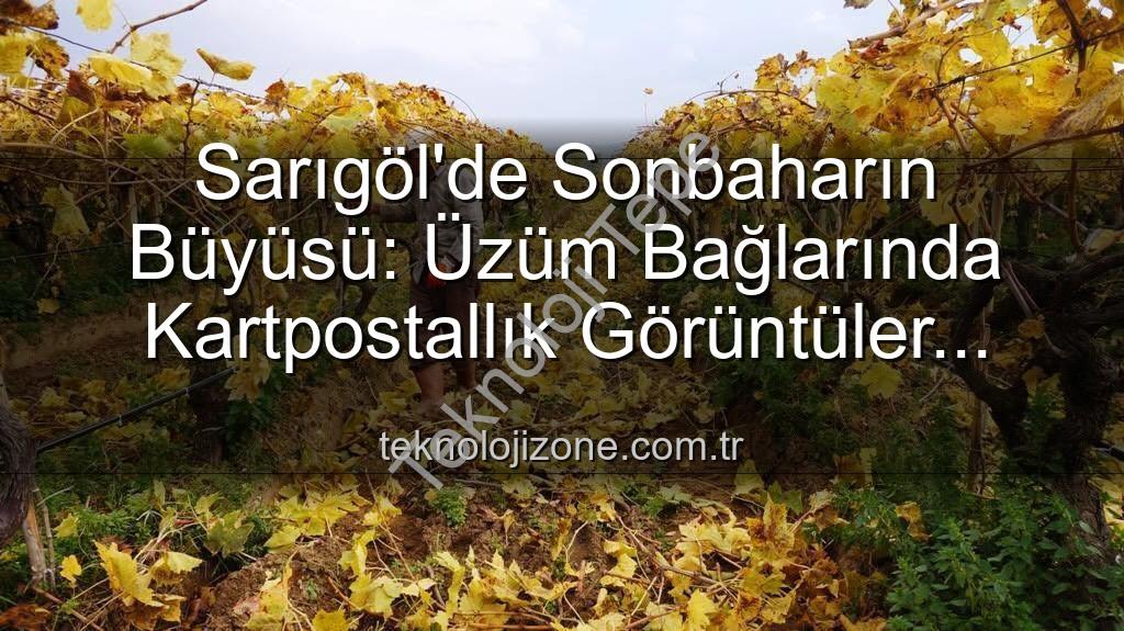 Sarıgöl üzüm bağları - Sarıgöl'de Sonbaharın Büyüsü: Üzüm Bağlarında Kartpostallık Manzaralar Eşliğinde Budama Çalışmaları Başladı