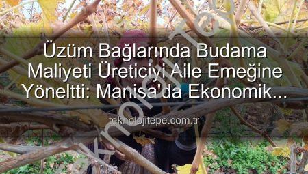 Üzüm Bağlarında Budama Maliyeti Üreticiyi Aile Emeğine Yöneltti: Manisa’da Ekonomik Çözümler