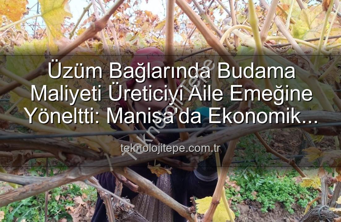 budama maliyeti - Üzüm Bağlarında Budama Maliyeti Üreticiyi Aile Emeğine Yöneltti: Manisa'da Ekonomik Çözümler