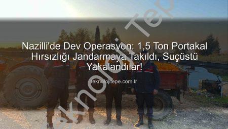 Nazilli’de Dev Operasyon: 1,5 Ton Portakal Hırsızlığı Jandarmaya Takıldı, Suçüstü Yakalandılar!