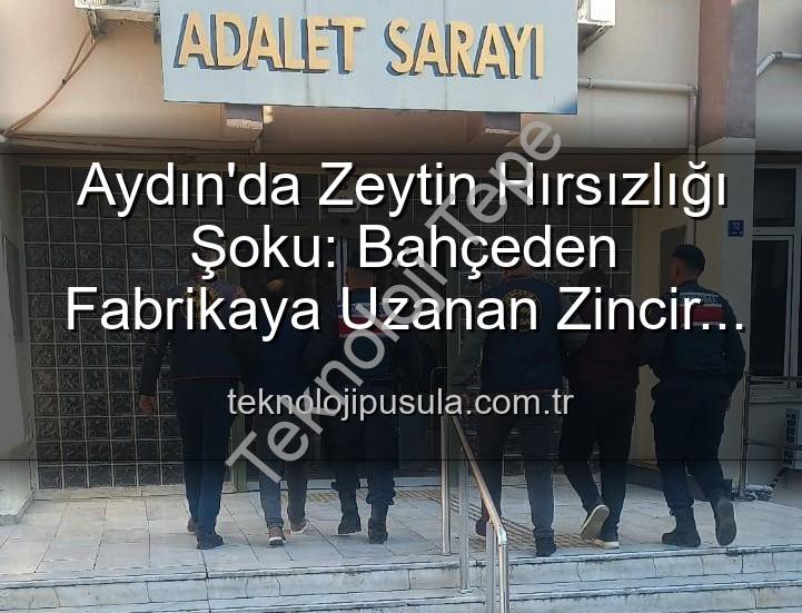 zeytin hırsızlığı - Aydın'da Zeytin Hırsızlığı Operasyonu: Bahçeden Çalınan Ürünler Fabrikada Ele Geçirildi!