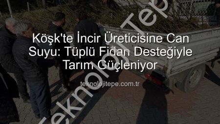 Köşk’te İncir Üreticisine Can Suyu: Tüplü Fidan Desteğiyle Tarım Güçleniyor