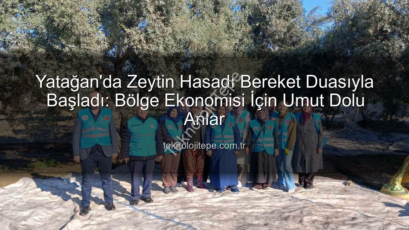Yatağan zeytin hasadı - Yatağan'da Zeytin Hasadı Bereket Duasıyla Başladı: Bölge Ekonomisi İçin Umut Dolu Anlar