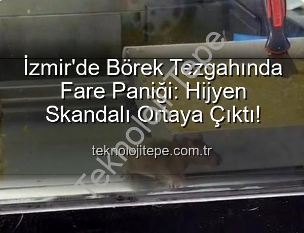 börek tezgahında fare - İzmir'de Börek Tezgahında Fare Paniği: Hijyen Skandalı Ortaya Çıktı!