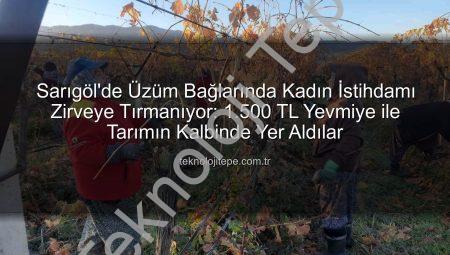 Sarıgöl’de Üzüm Bağlarında Kadın İstihdamı Zirveye Tırmanıyor: 1.500 TL Yevmiye ile Tarımın Kalbinde Yer Aldılar