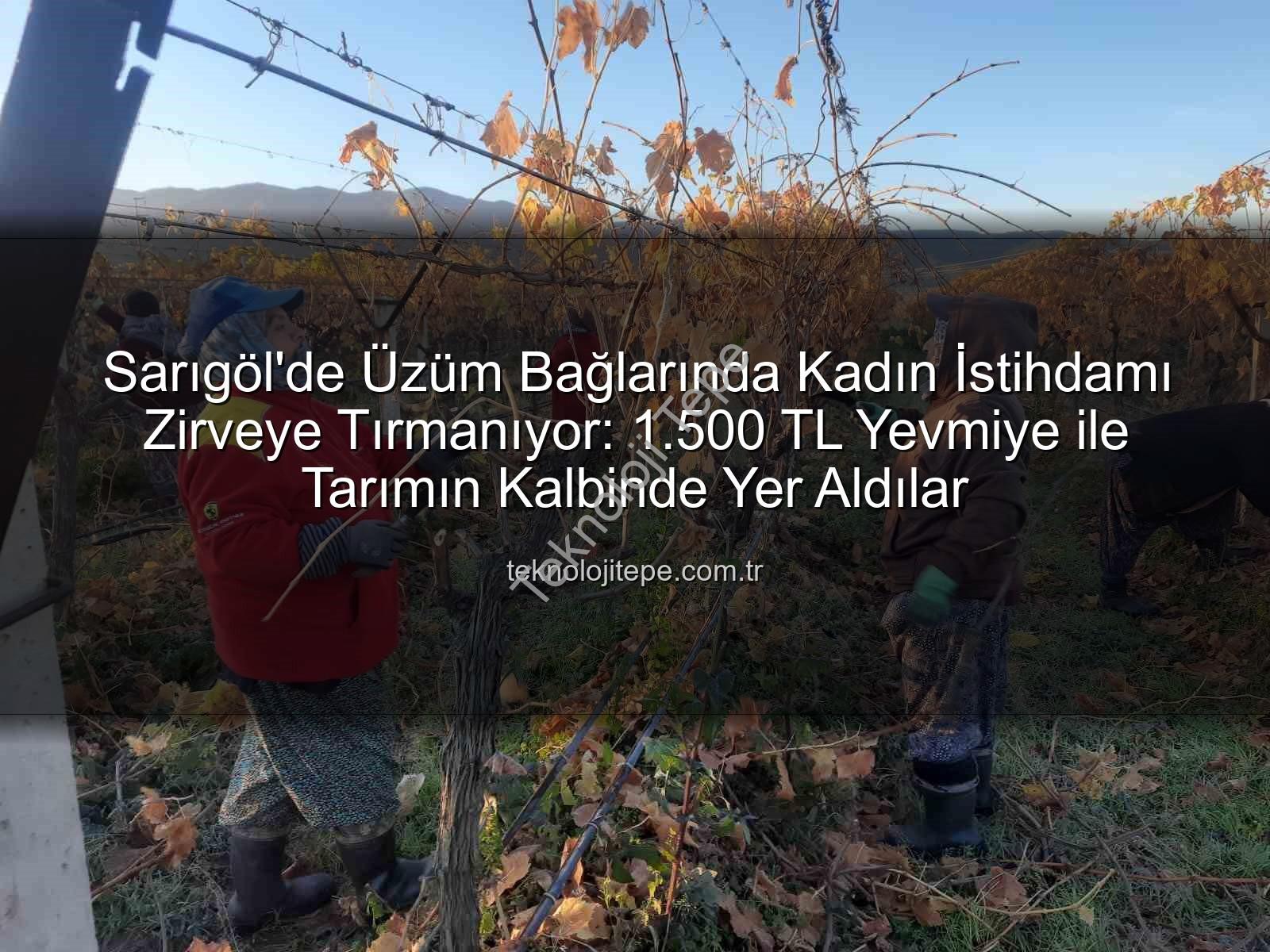 kadın istihdamı - Sarıgöl'de Üzüm Bağlarında Kadın İstihdamı Zirveye Tırmanıyor: 1.500 TL Yevmiye ile Tarımın Kalbinde Yer Aldılar