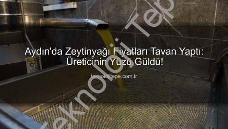 Aydın’da Zeytinyağı Fiyatları Tavan Yaptı: Üreticinin Yüzü Güldü!