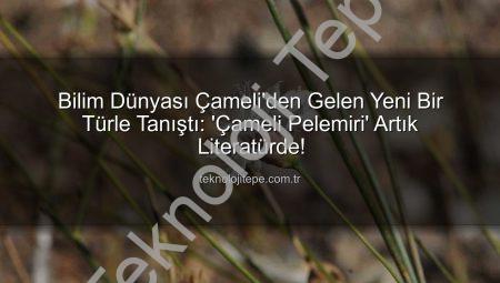 Bilim Dünyası Çameli’den Gelen Yeni Bir Türle Tanıştı: ‘Çameli Pelemiri’ Artık Literatürde!