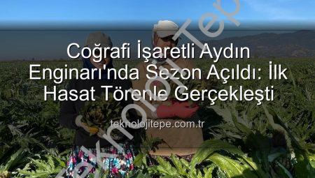 Coğrafi İşaretli Aydın Enginarı’nda Sezon Açıldı: İlk Hasat Törenle Gerçekleşti