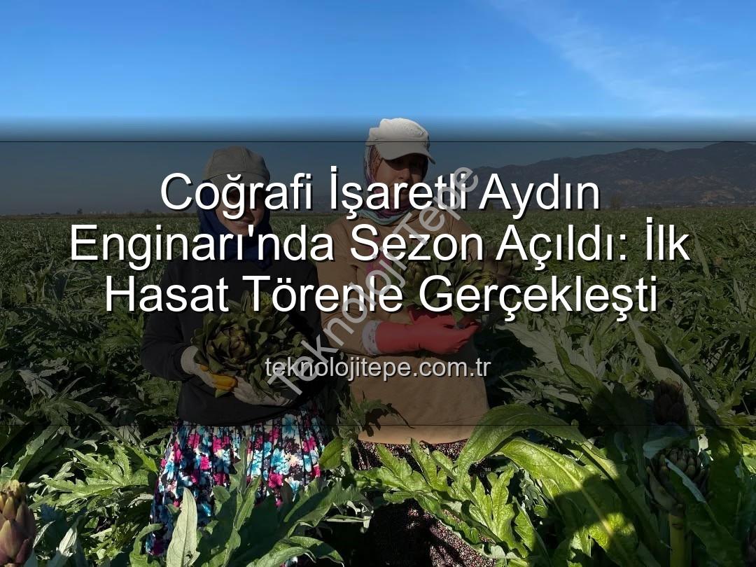 Aydın Enginarı - Coğrafi İşaretli Aydın Enginarı'nda Sezon Açıldı: İlk Hasat Törenle Gerçekleşti