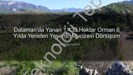 Dalaman’da Yanan 1.433 Hektar Orman 6 Yılda Yeniden Yeşerdi: Mucizevi Dönüşüm