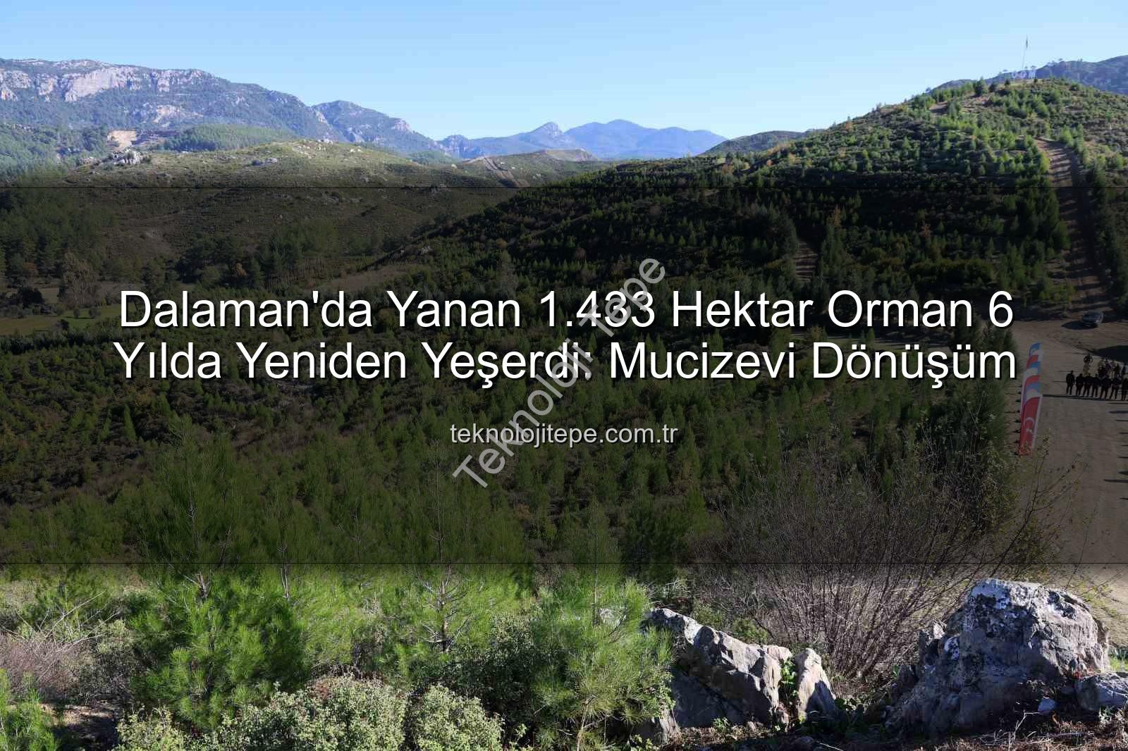 dalaman orman yangını - Dalaman'da Yanan 1.433 Hektar Orman 6 Yılda Yeniden Yeşerdi: Mucizevi Dönüşüm